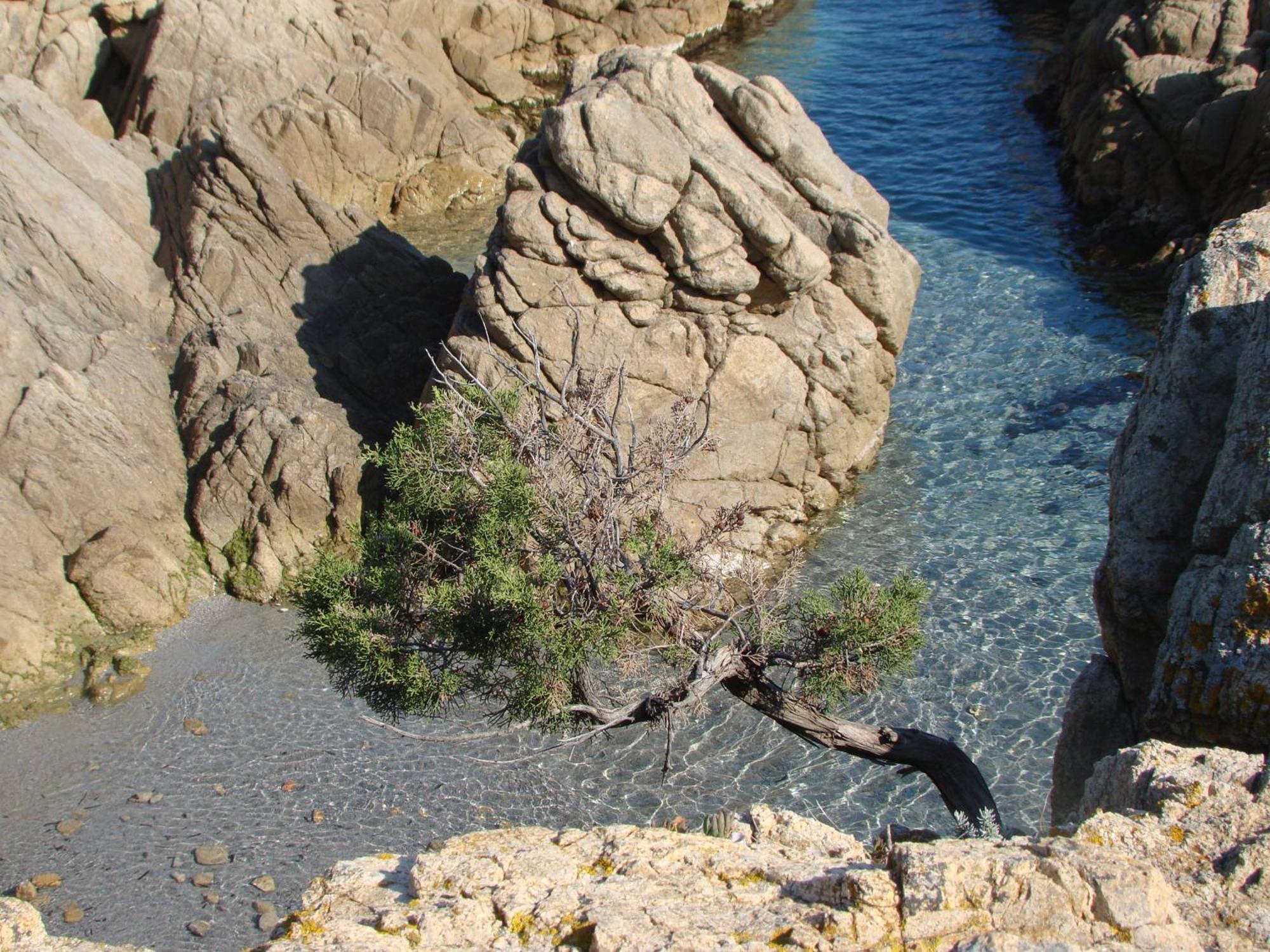 S'Ustiarvu- Nuova Gestione Hotel Cala Liberotto Exterior photo